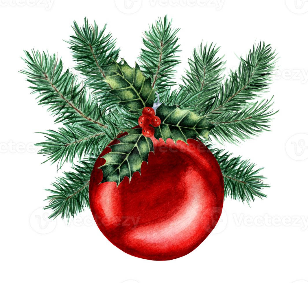 Christmas watercolor illustration of red ball in fir branches and holly. Festive decor for the Christmas tree isolated. Drawn by hand. png
