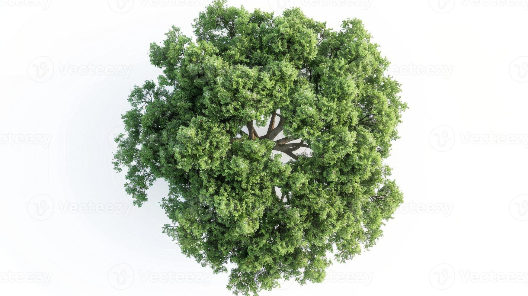 Grape Clusters On Transparent Background. photo