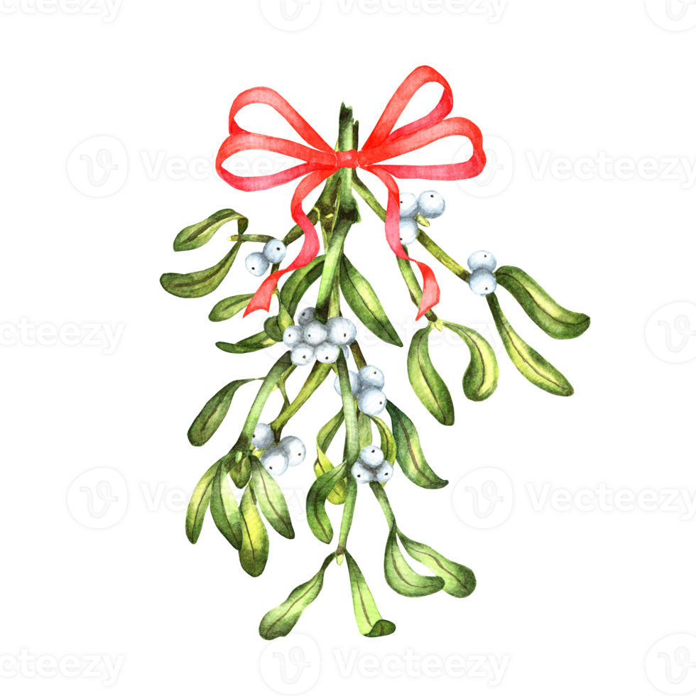 Watercolor bouquet with red bow green mistletoe with berries. Decor for winter with Merry Christmas and Happy New Year. Watercolor illustration isolated. Drawn by hand. png