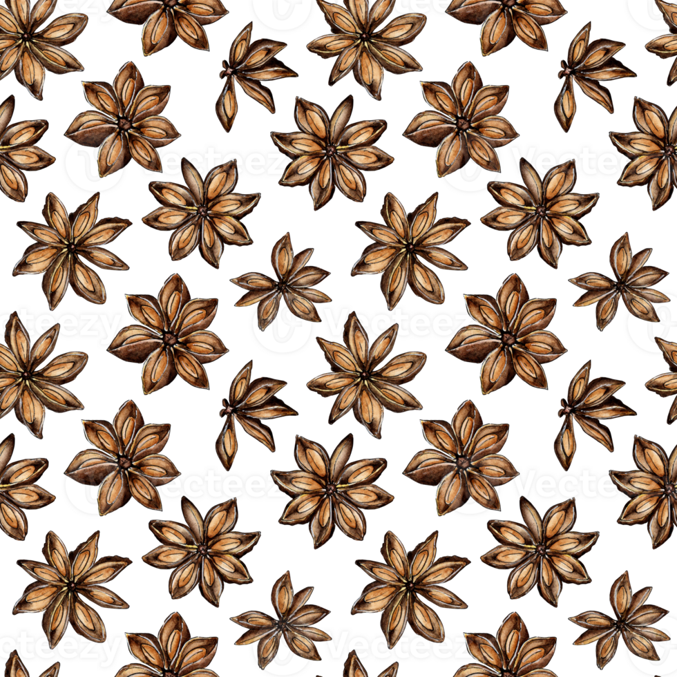 Watercolor painting of spice cinnamon stars. Seamless repeating print with cinnamon bark and spice flowers. A fragrant ingredient for baked goods or coffee. Isolated . Drawn by hand. png