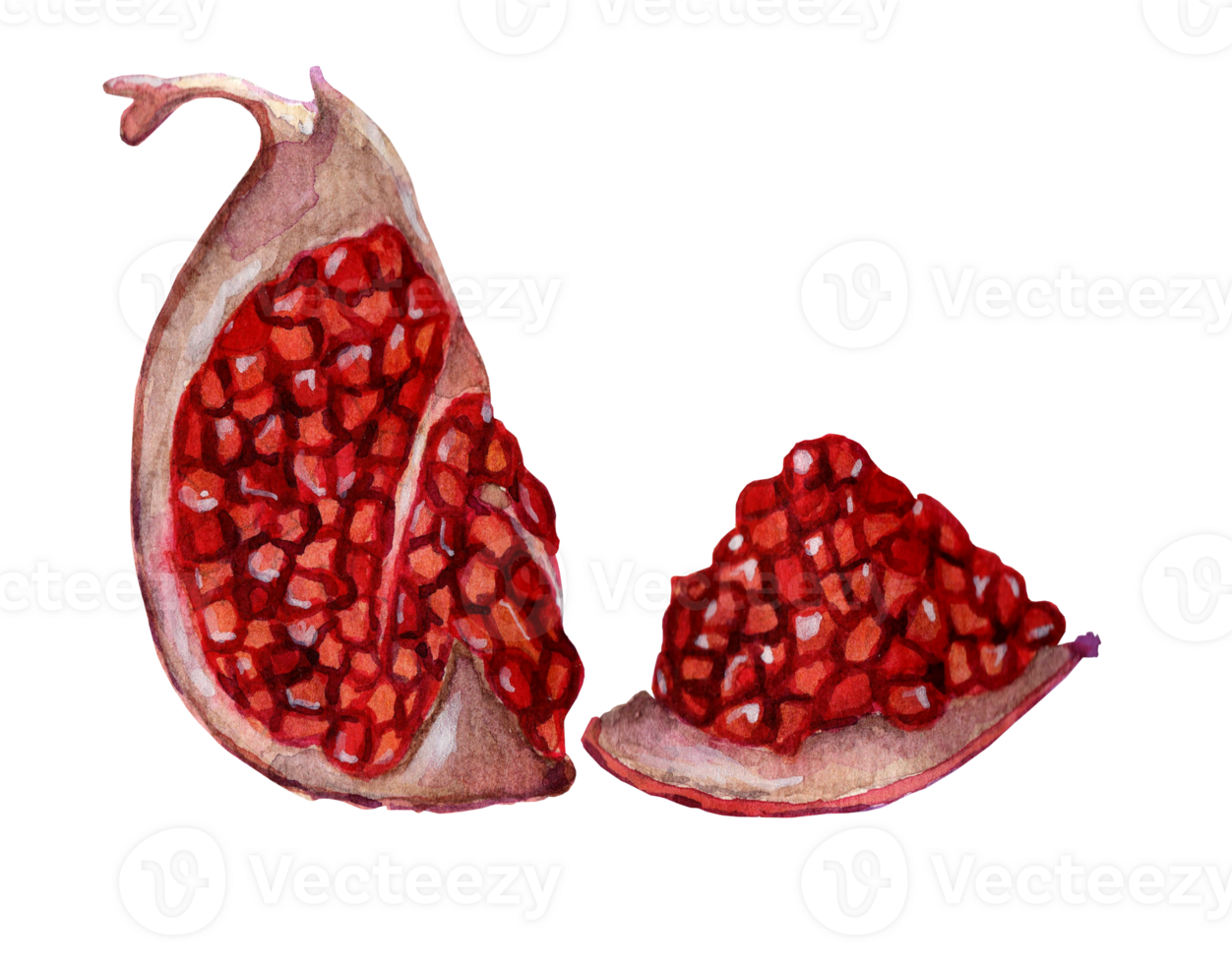 Fresh ripe pomegranate quarter and slice with seeds, zenras. Watercolor juicy and sweet pomegranate illustration isolated. Hand-drawn. png