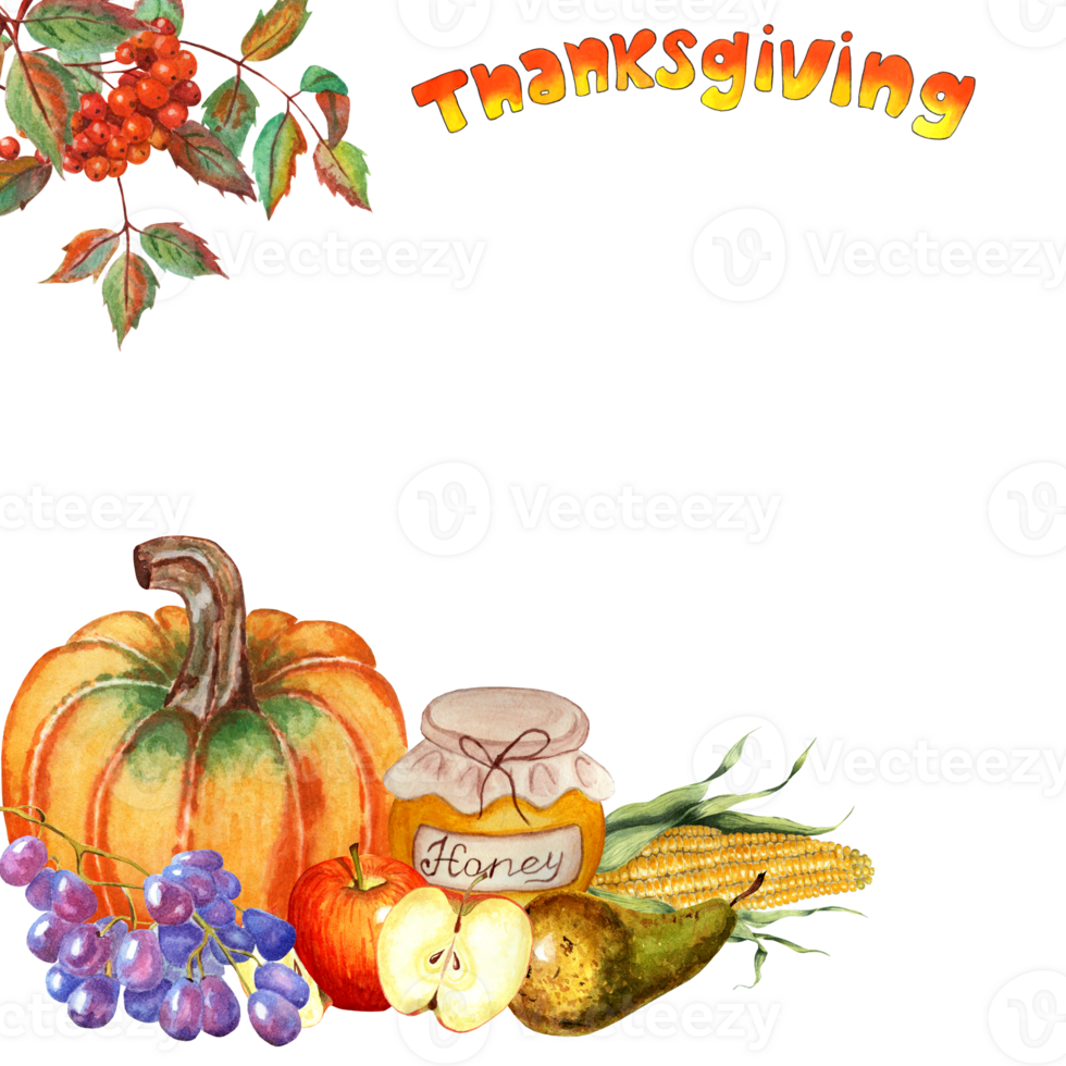 Thanksgiving corner frame. Rowan bunch, pumpkin, grapes, apple, pear, corn and honey. Watercolor illustration isolated. Drawn by hand. png