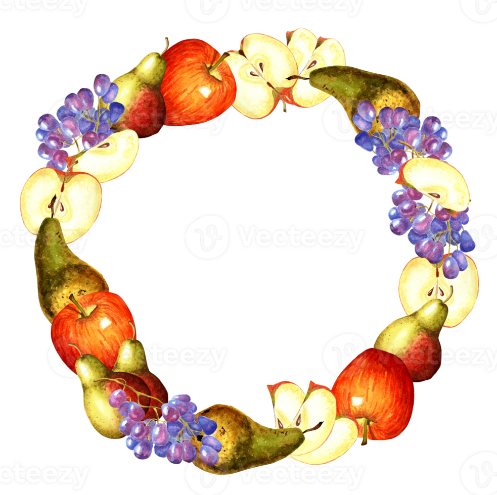 Round frame made of apples, pears and grapes. Watercolor illustration isolated. Drawn by hand. png
