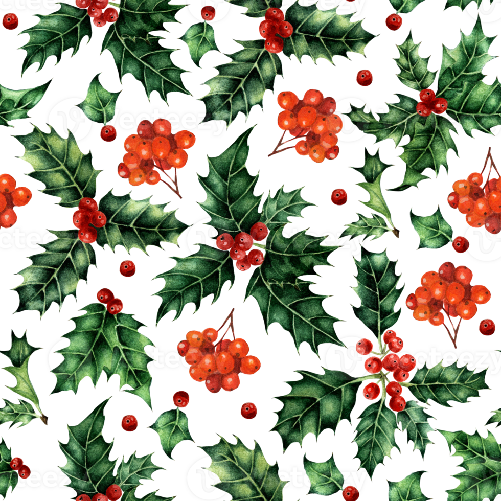 Watercolor seamless pattern with holly leaves and rowan berries. Festive pattern for Christmas and New Year. Isolated. Drawn by hand. png