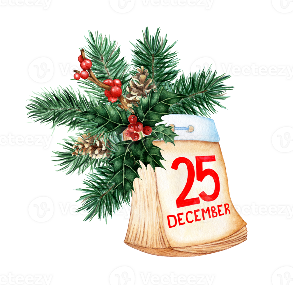 Watercolor illustration of tear-off calendar retro style December 25, catholic christmas. The calendar is decorated with fir branches, pine cones, ilex, holly. Isolated. drawn by hand. png