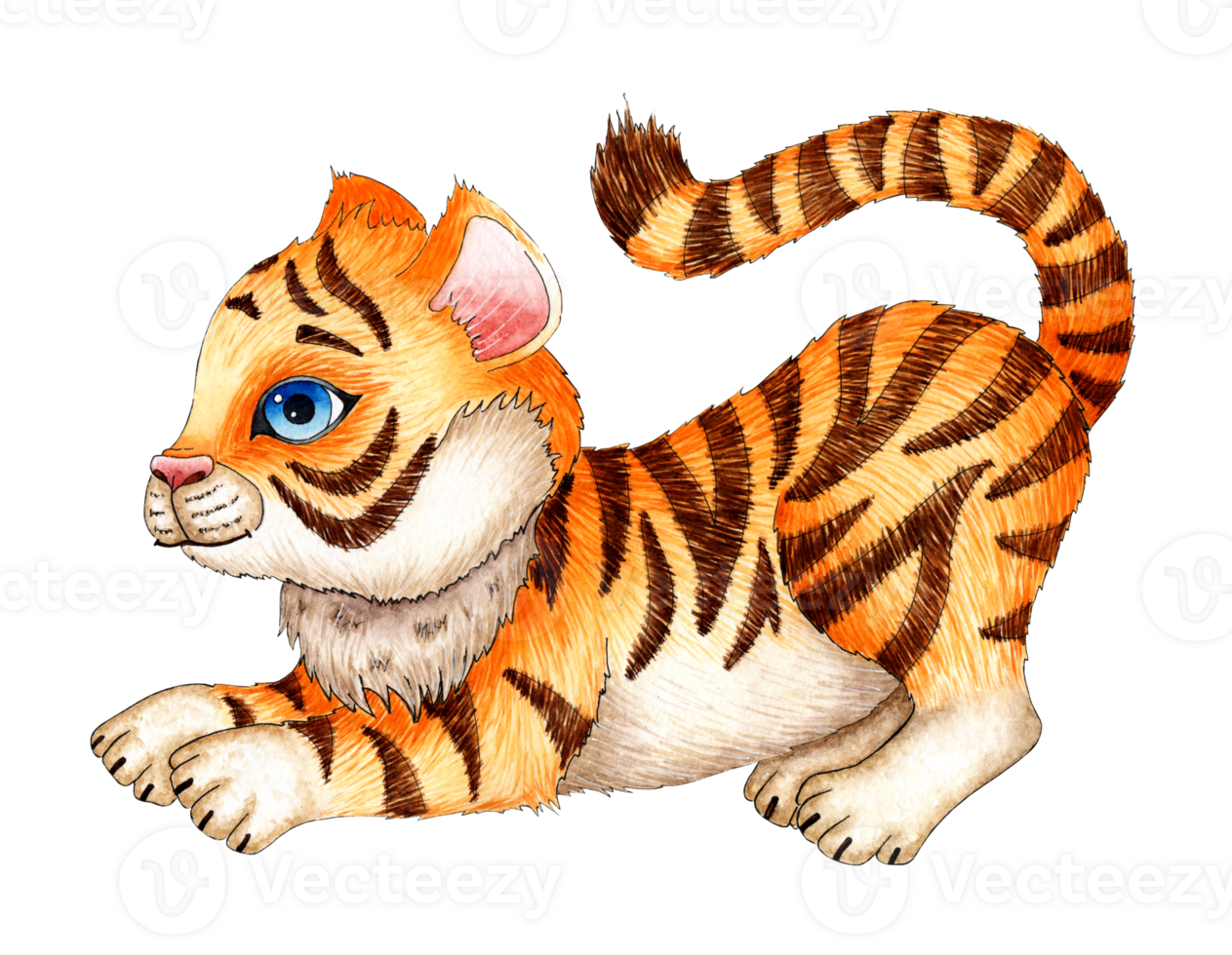 Watercolor painting cartoon tiger cub plays, hunts. The symbol of the Chinese New Year, Christmas. Illustration for childrens design. Isolated png