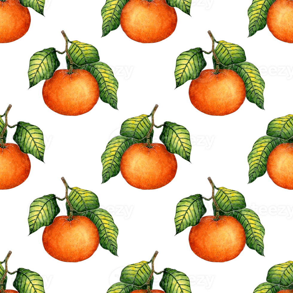 Watercolor painting pattern ripe tangerine with green leaves. Seamless repeating juicy citrus print. Winter seasonal fruits. Vitamin food isolated. hand-drawn. png