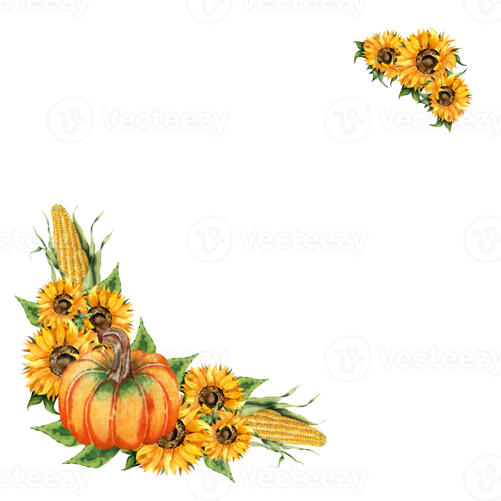 Sunflowers, pumpkin, corn watercolor painting corner frame. Autumn frame, Thanksgiving, harvest festival, yellow flowers. Botanical border isolated. Hand-drawn. png
