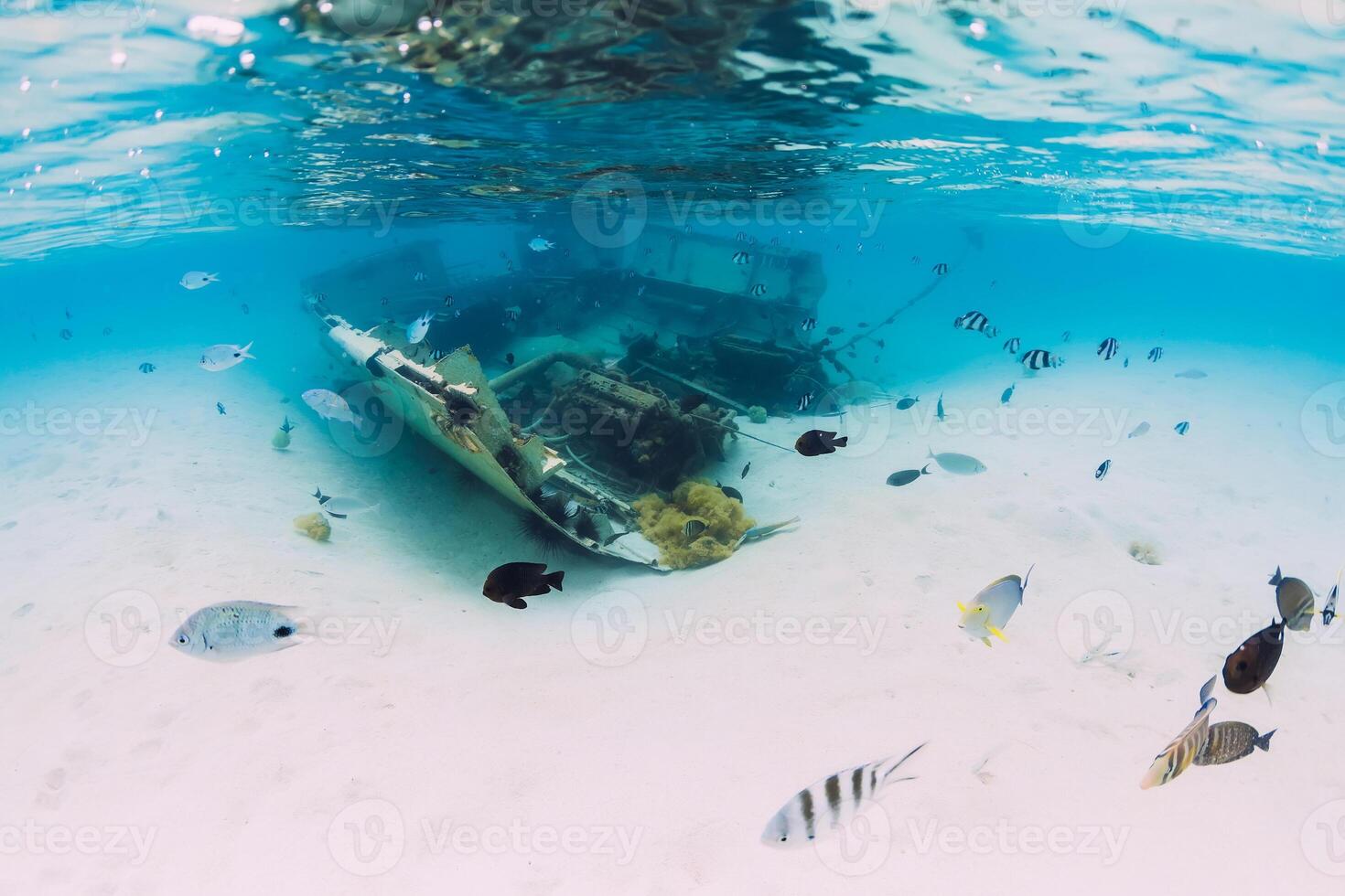 Ocean with wreck of boat on sandy bottom and tropical fish underwater in Mauritius photo