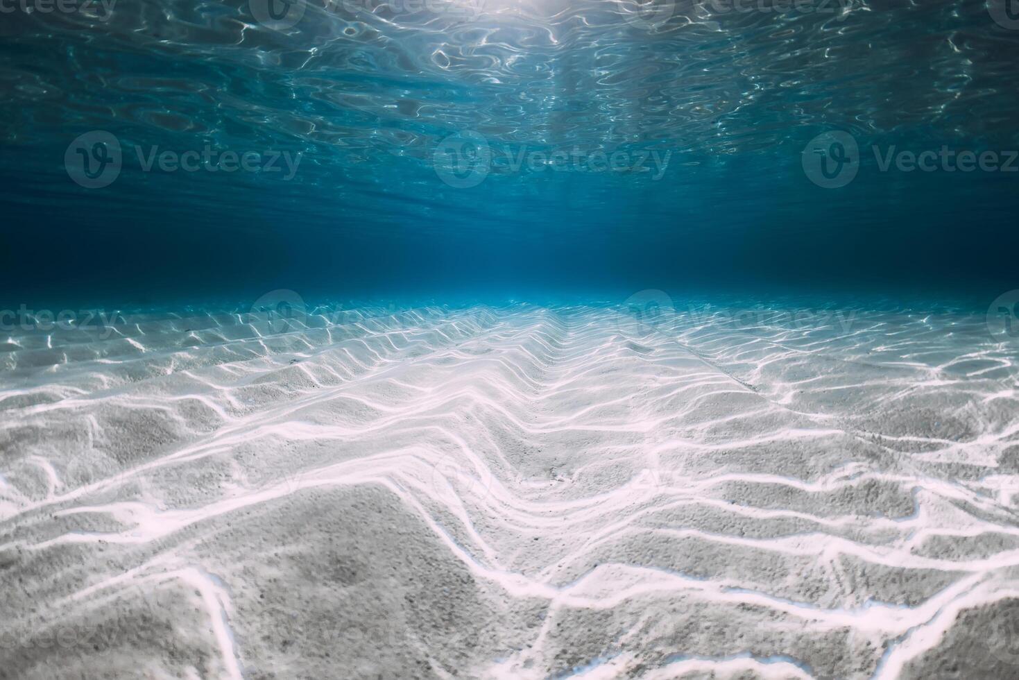 Blue ocean with white sand underwater in Hawaii. Transparent sea water and sandy bottom photo