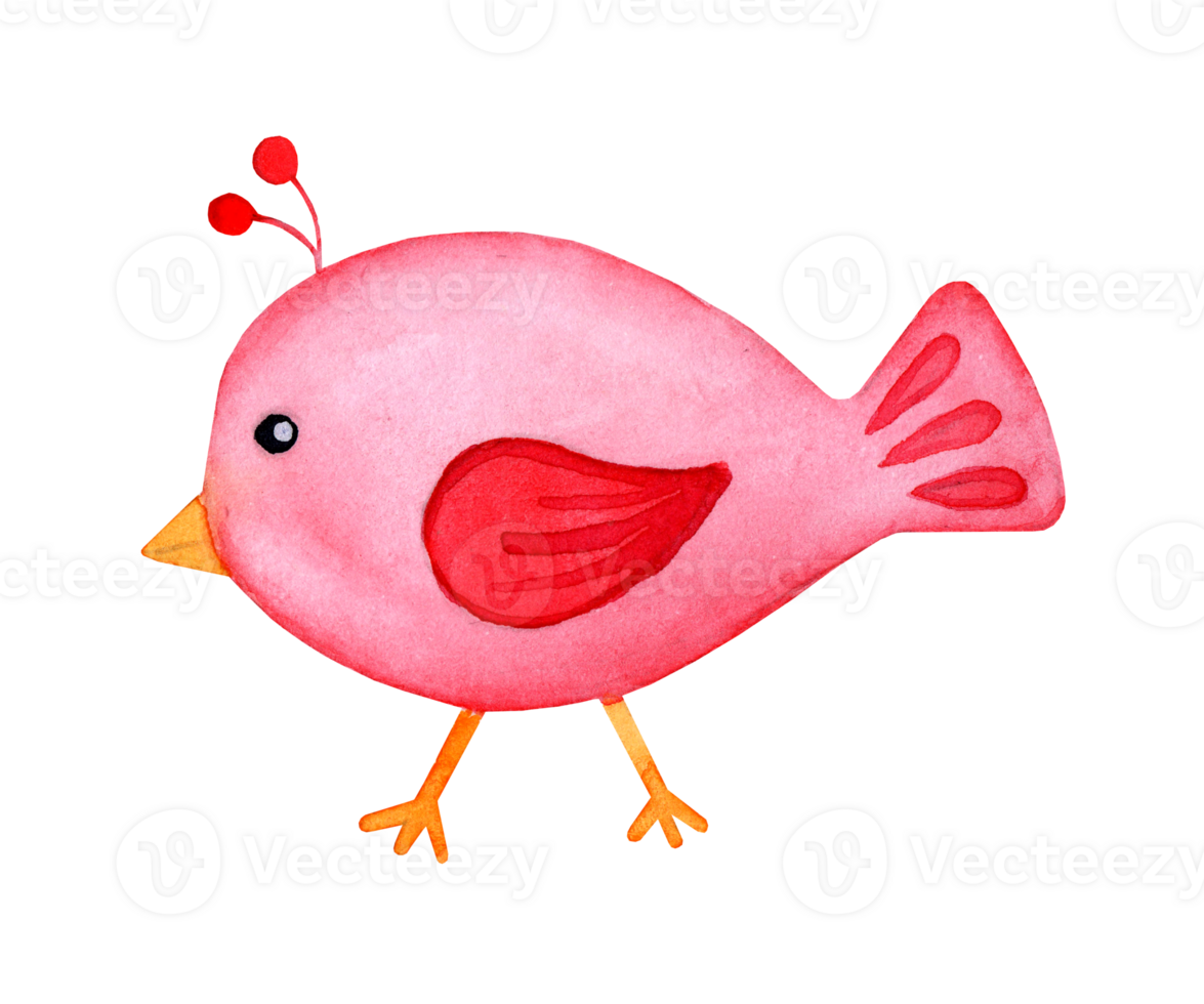 Watercolor painting red bird doodle. Cartoon style caricature cute bird. Colorful decorative element for the design of cards, invitations, textiles, fabrics. Isolated. Drawn by hand. png