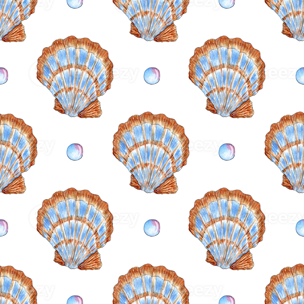 Watercolor pattern illustration of large beige blue seashells with scallop and bubbles. Underwater world. Tropical shell. The external skeleton is made of mollusc-type marzipan. Isolated png