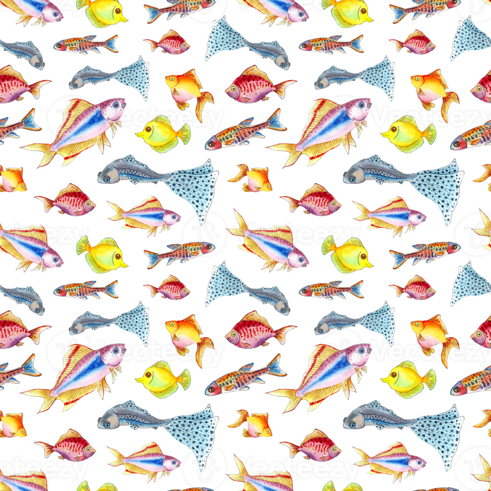 Watercolor illustration pattern of small colorful aquarium fish. Seamless repeating marine life print. Exotic fish. Isolated . Drawn by hand. png