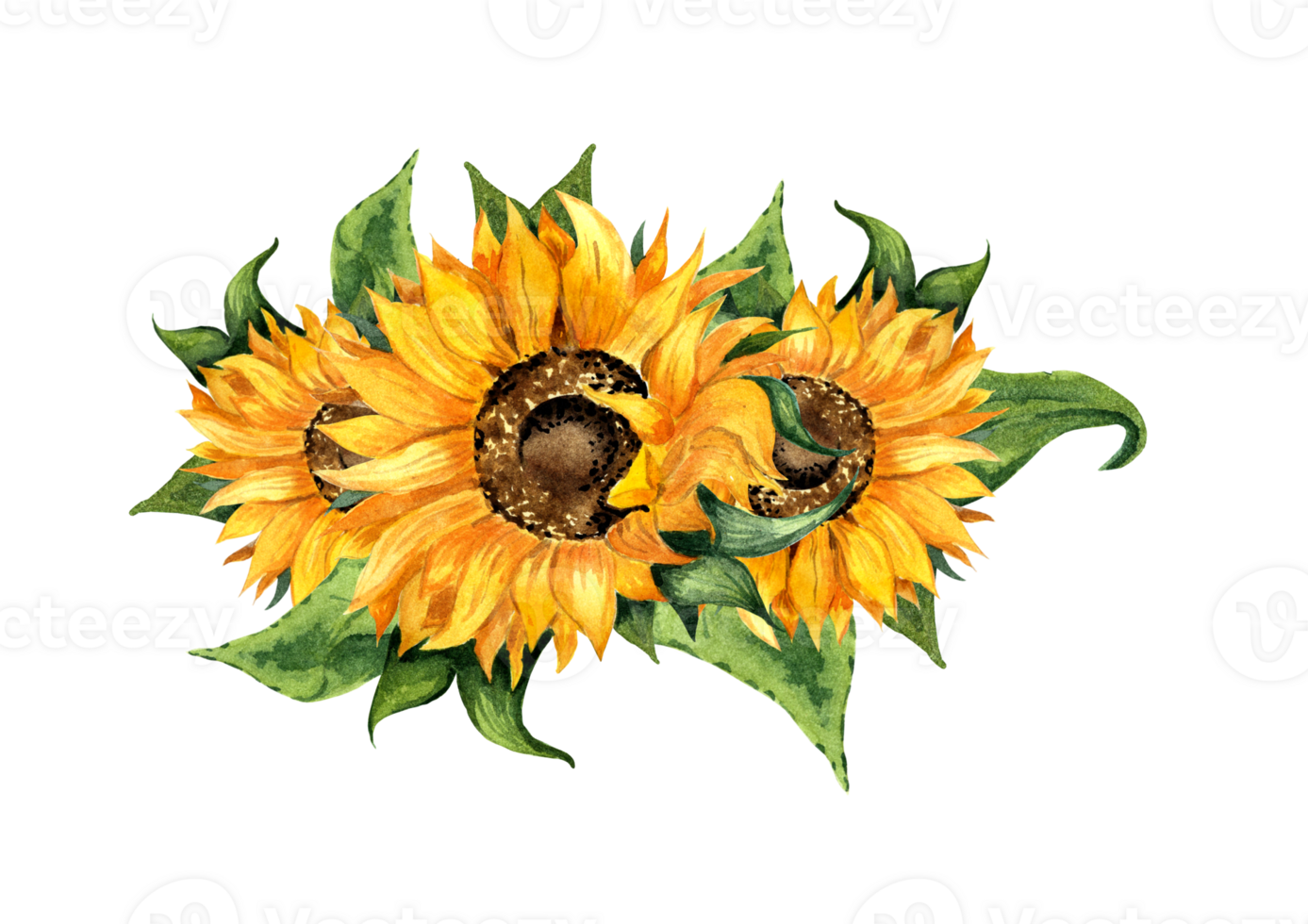 Watercolor illustration of a wreath of sunflower flowers and leaves. Beautiful bouquet of sunflowers. Floral frame, border for postcards. Botanical painting isolated. Drawn by hand. png