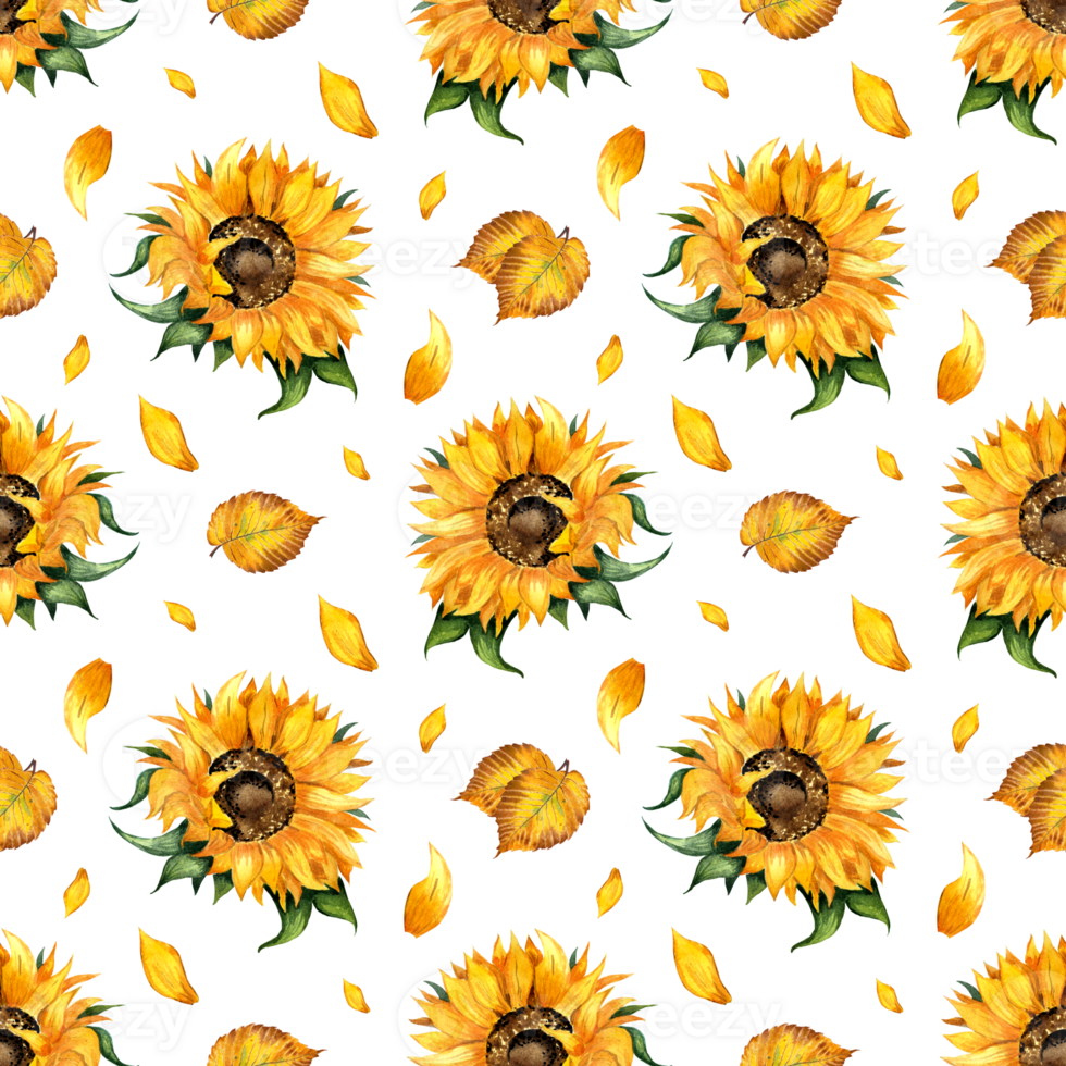 Watercolor illustration of a floral pattern of sunflower and leaves. Seamless repeating print of botanical floral background. Design elements flowers, buds and leaves. Isolated. Drawn by hand. png
