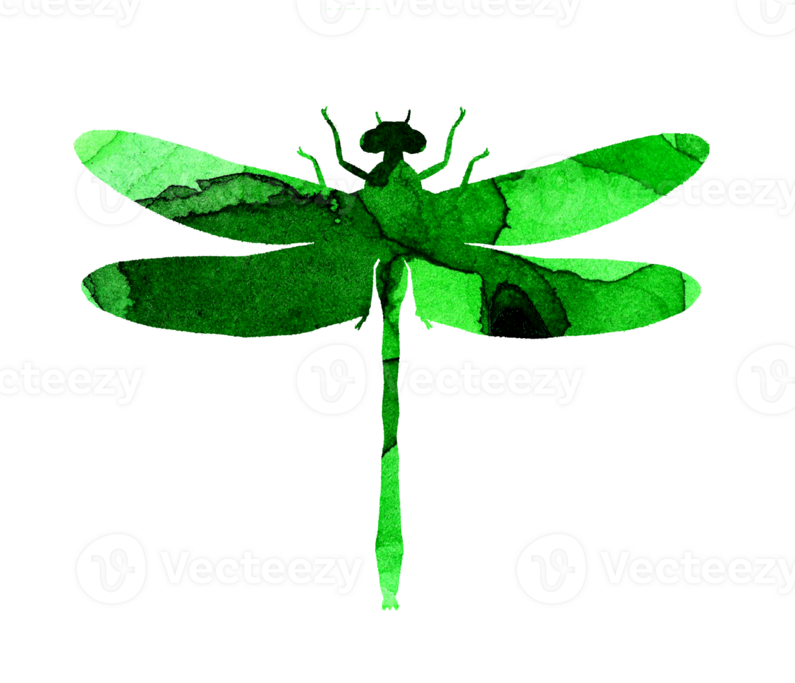 Watercolor illustration of a green abstract dragonfly with paint stripes. Cute funny insect print. A winged insect with large eyes. Isolated. Drawn by hand. png