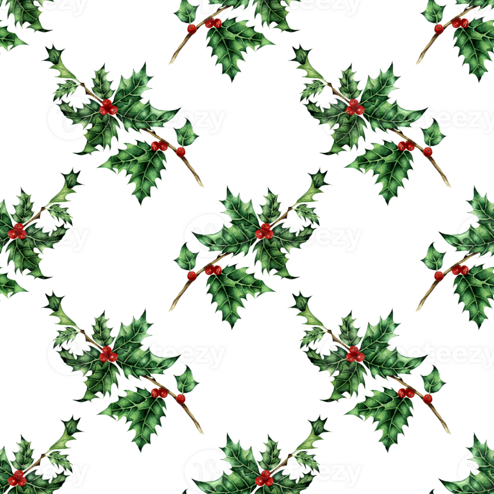 Watercolor illustration of a holly pattern. Seamless repeating holiday New Year and Christmas print. Ever green leaves and red berries. Isolated. Drawn by hand. png