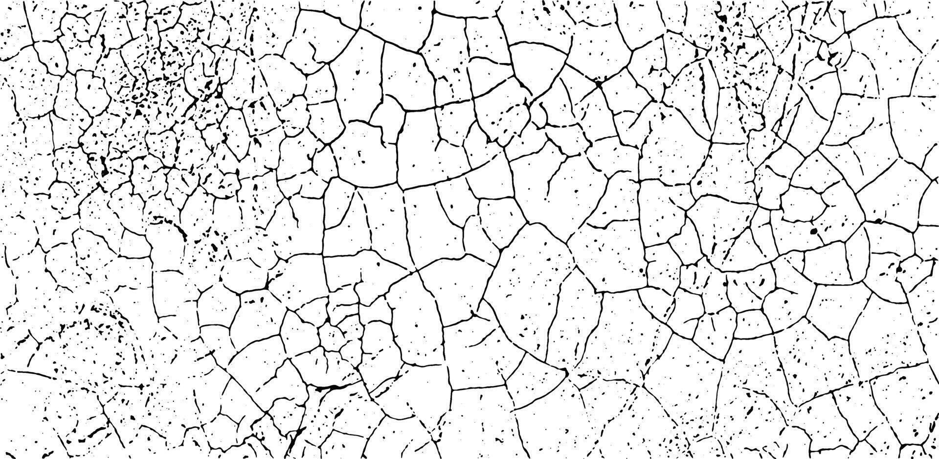 a black and white image of a cracked wall, cracked white paint on a white background, a black and white drawing of a cracked wall, background with cracks vector