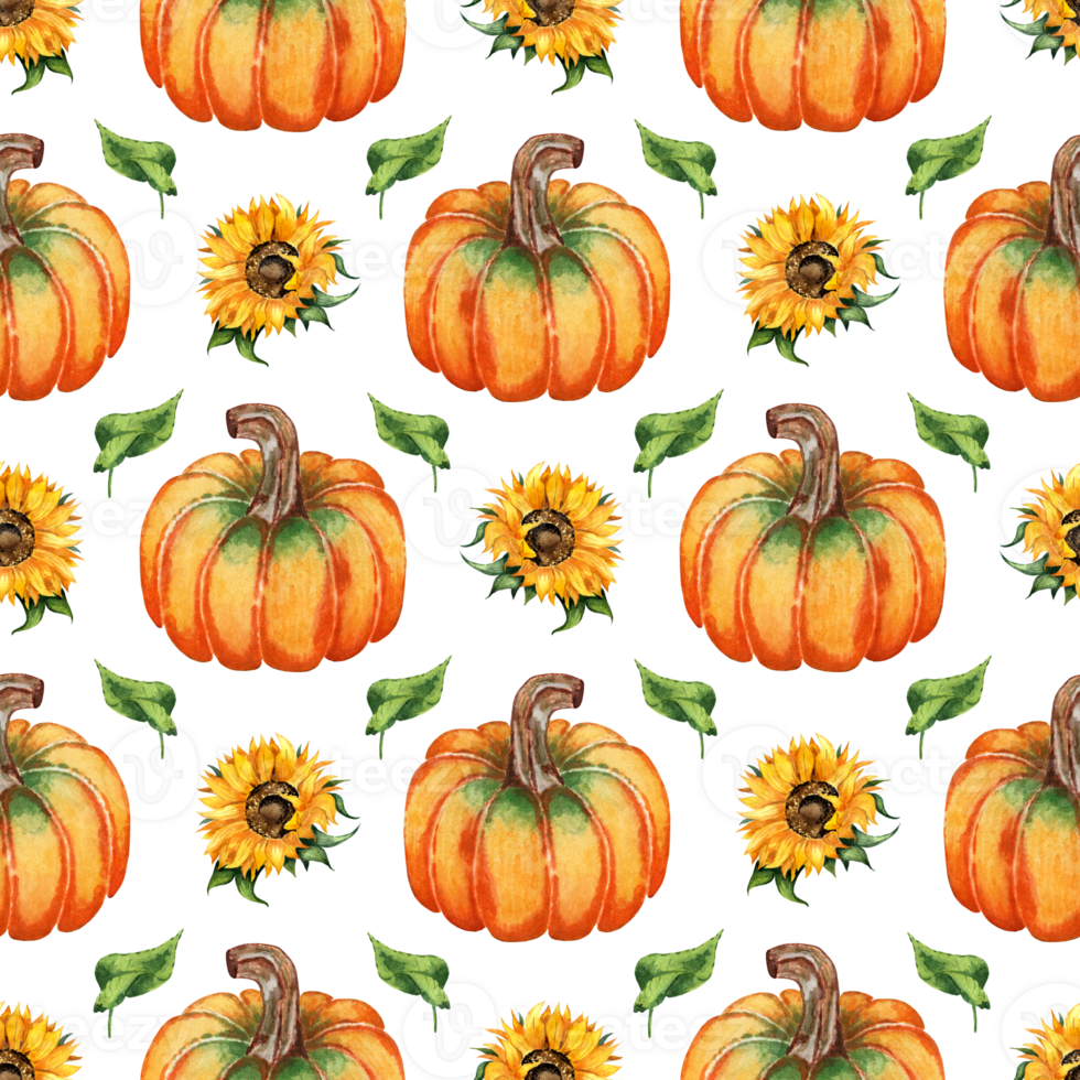 Watercolor illustration of a pattern of pumpkins, sunflowers and leaves. Seamless repeating harvest festival print. Thanksgiving and Halloween. Isolated. Drawn by hand. png