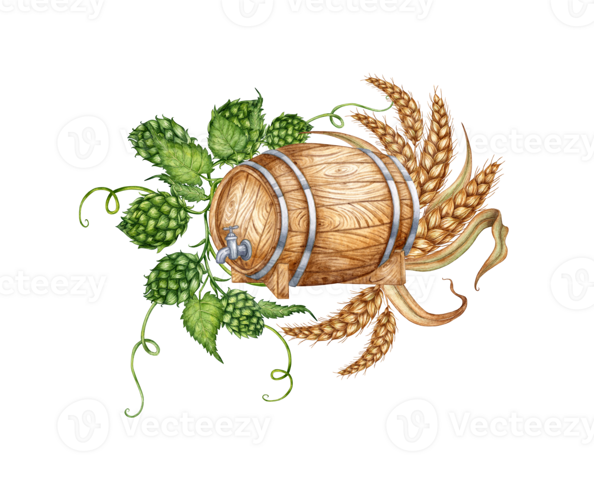 Wooden barrel with hops, ears of wheat for beer and other alcoholic drinks watercolor illustration. Isolated from the background. Suitable for interior design, menus, product packaging. png