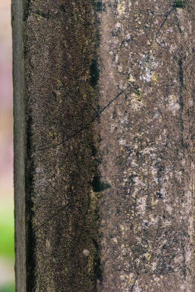 grungy light pole photo