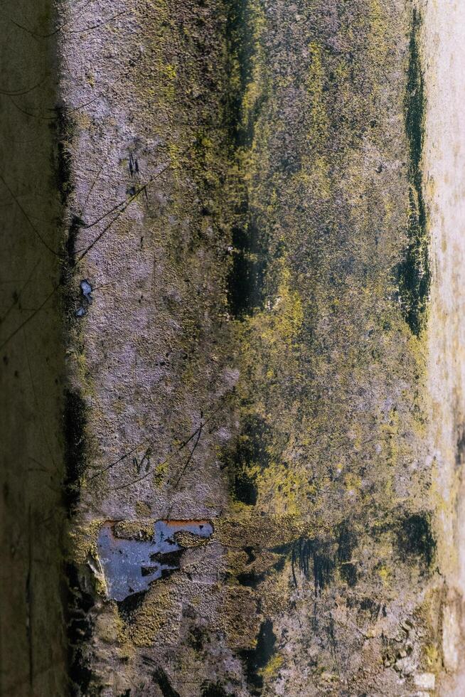 Grungy light pole photo