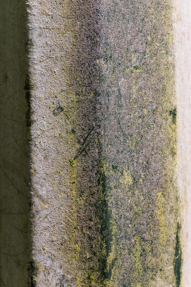 grungy light pole photo
