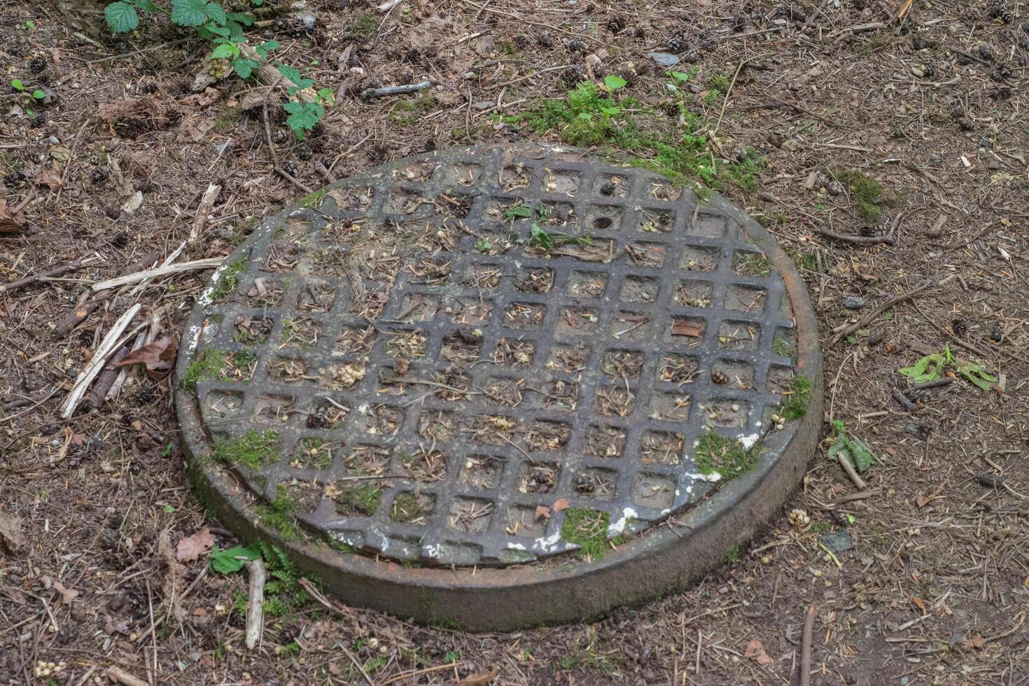 Manhole in the forest photo