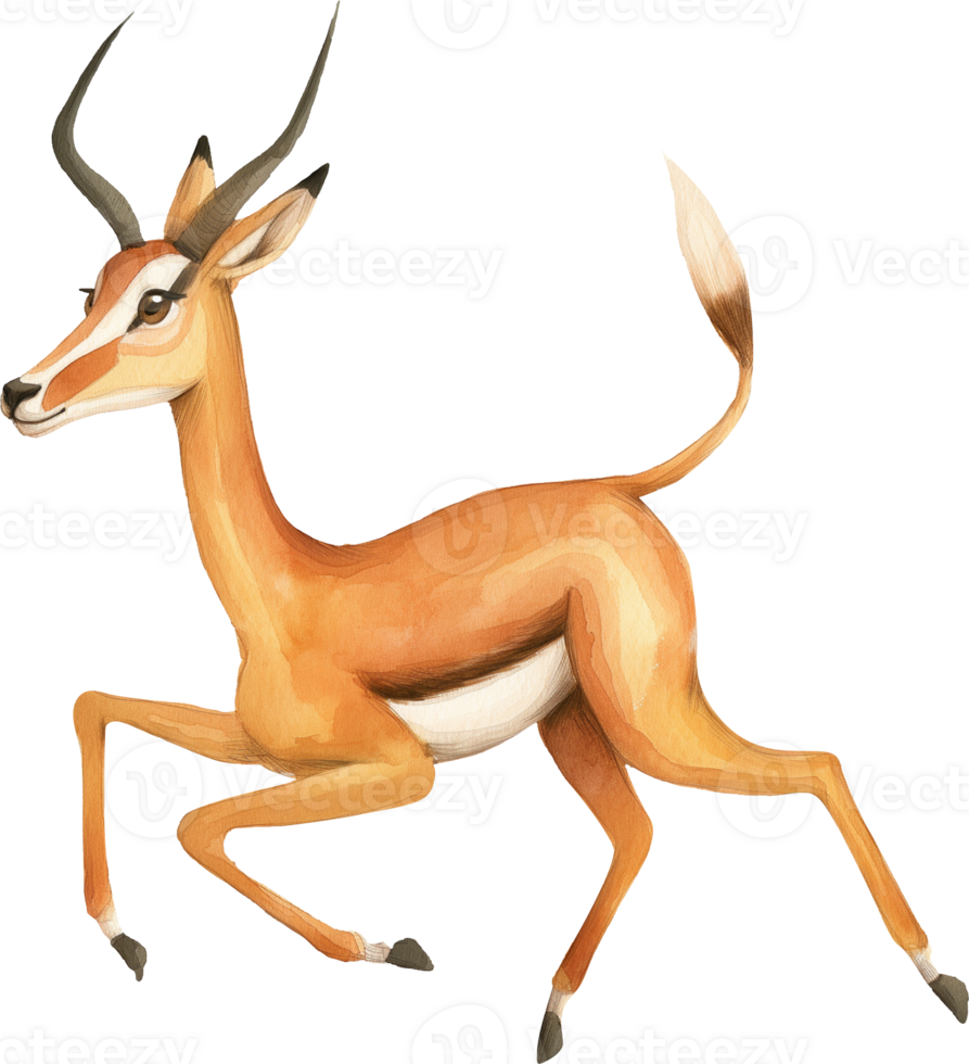 Cute Impala Leaping Over Shadow png