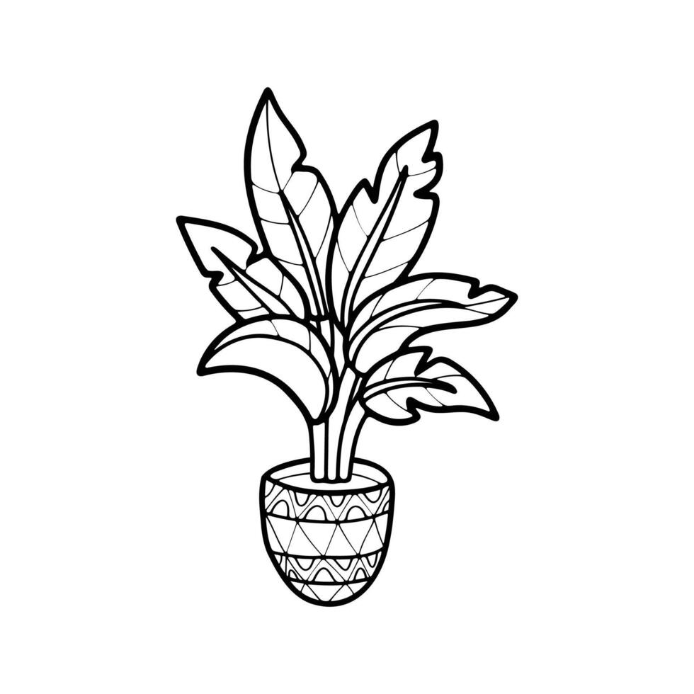 isolate black and white houseplants on background vector