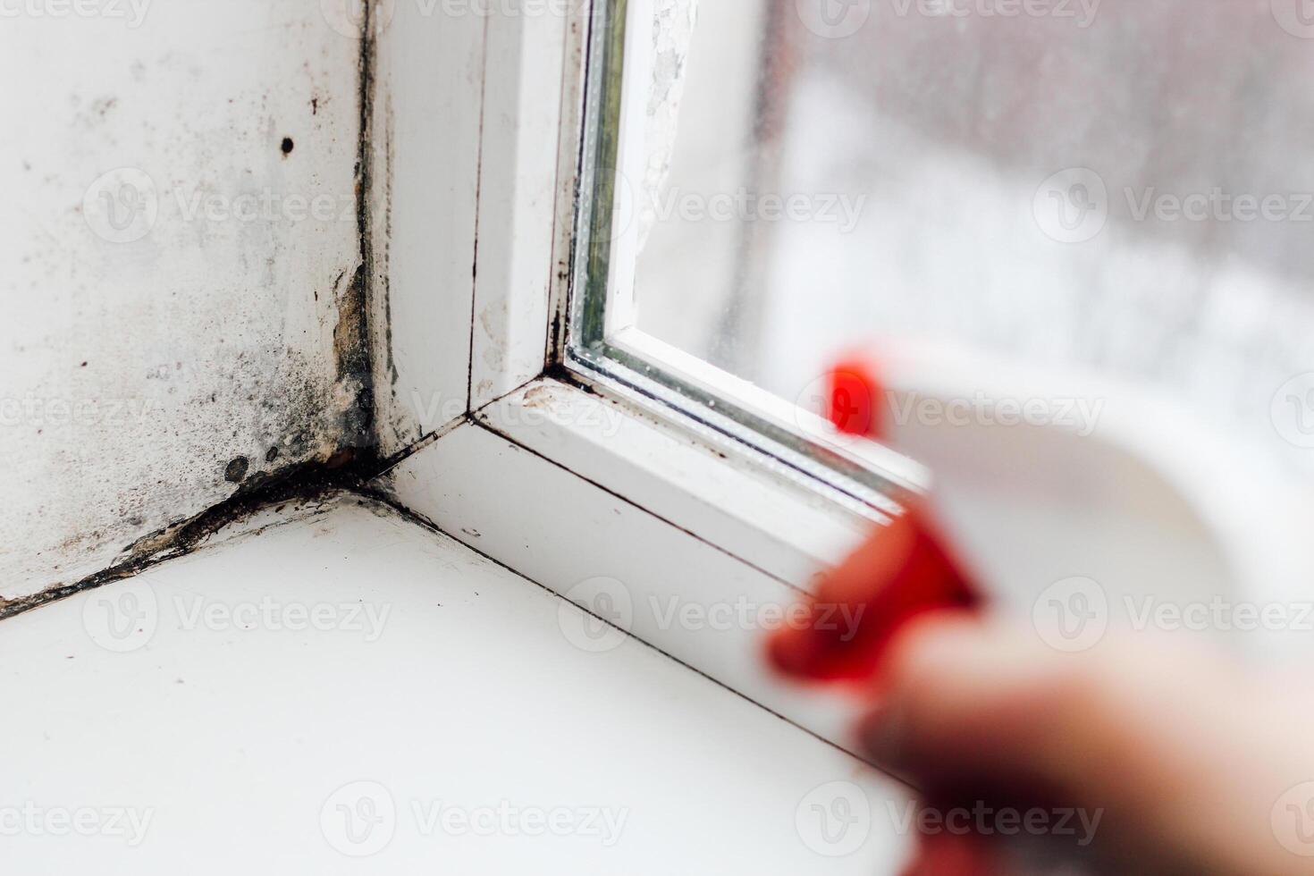 A blackened blooming fungus in the corner of the window, spray from the fungus. photo