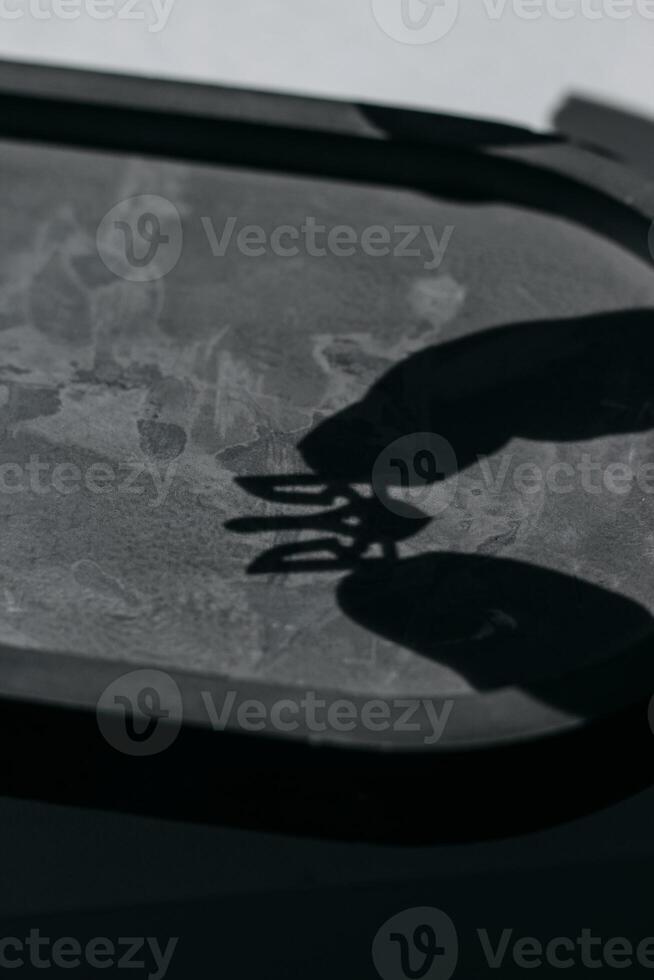Trident symbol of Ukraine iron icon silver color photo