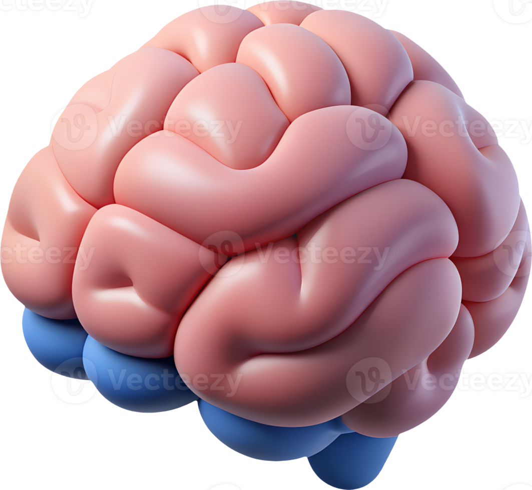 human, brain, 3d, icon, minimal, ai, technology, artificial intelligence, learning, neural network, data, science, future, digital, technology, computer, software, development, innovation png
