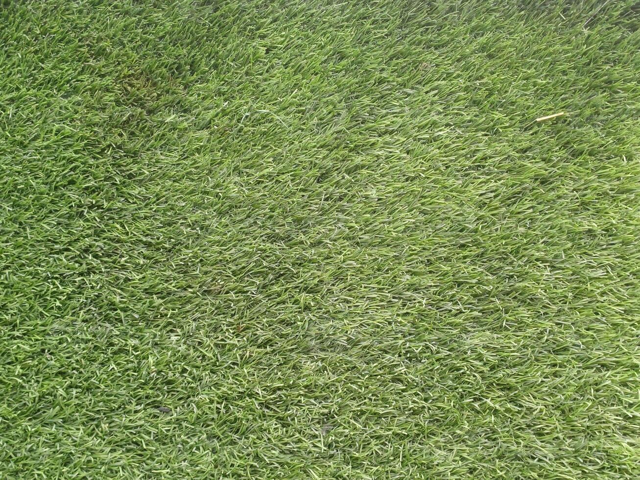close up and background of a grass field sintetis photo