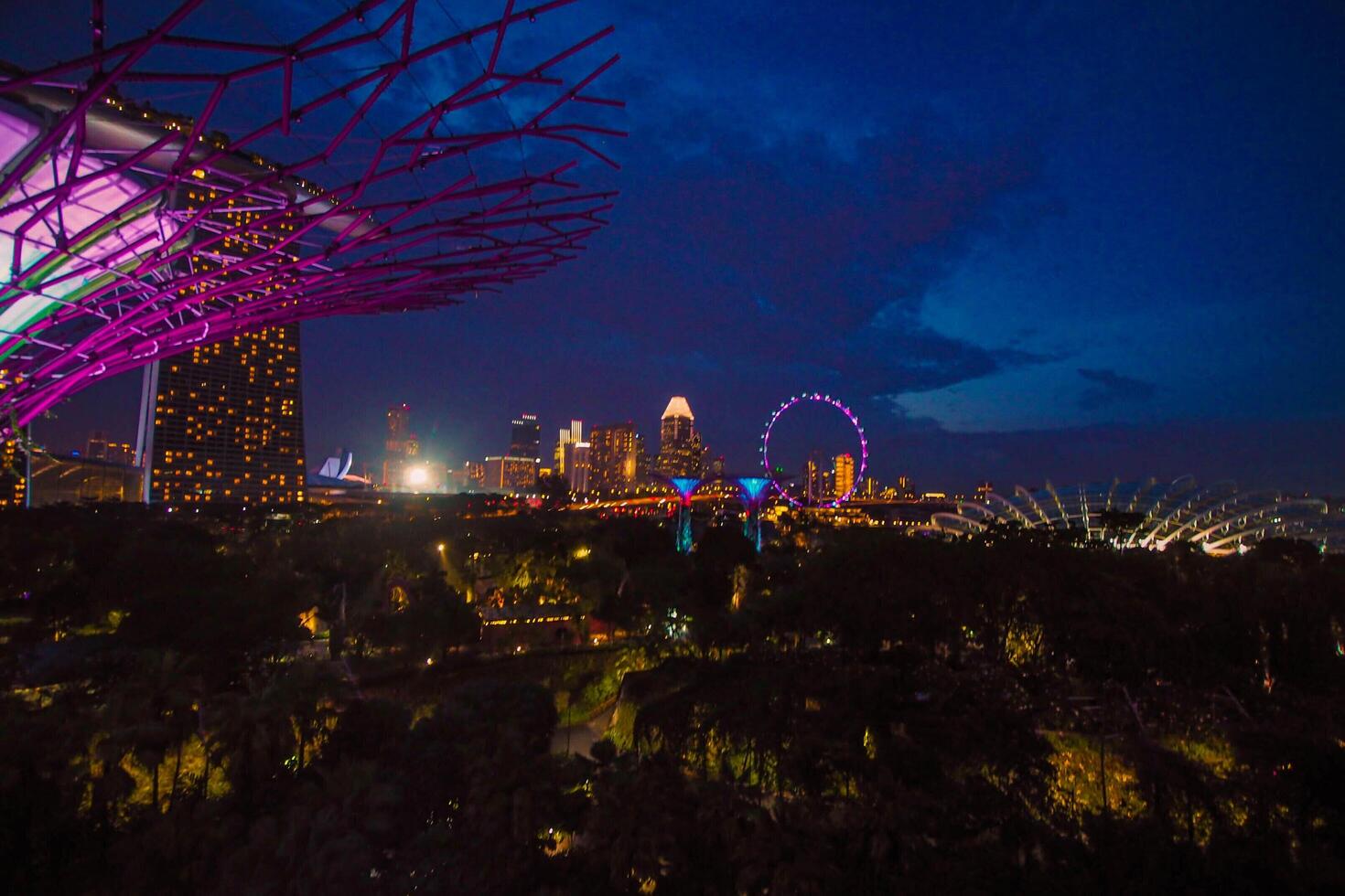 Lights in Gardens by the Bay in Singapore. photo