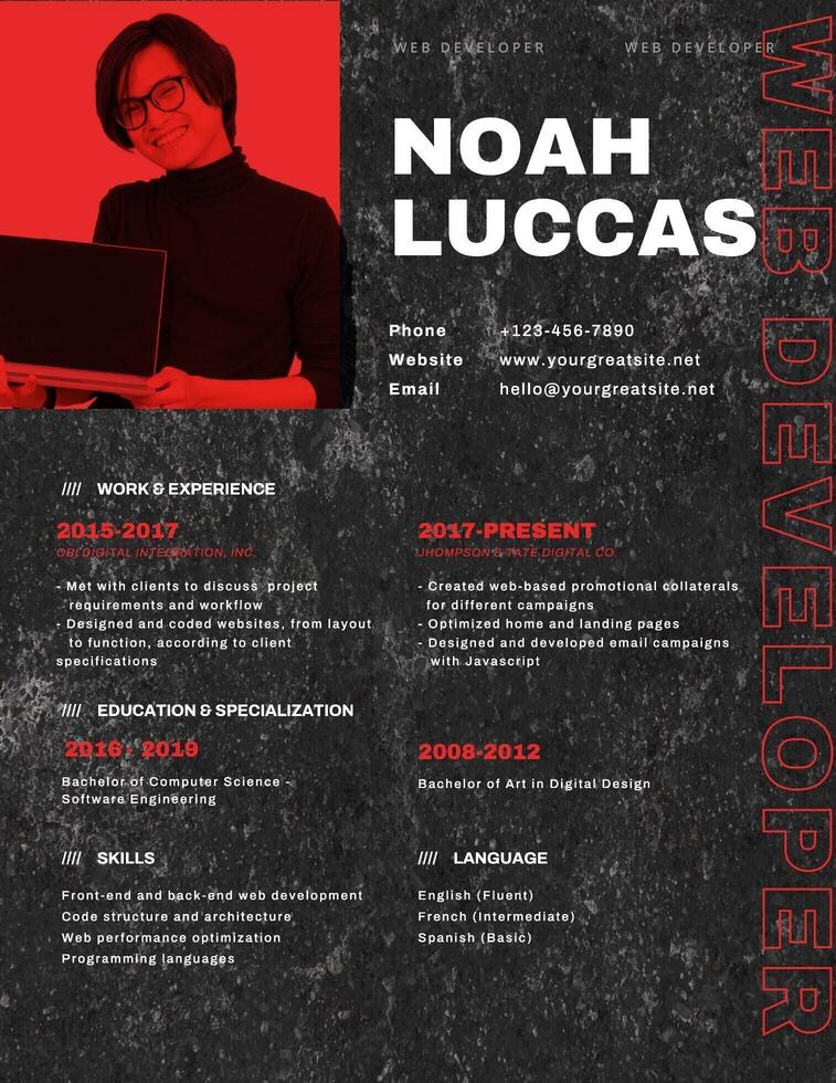developer resume design template ideas