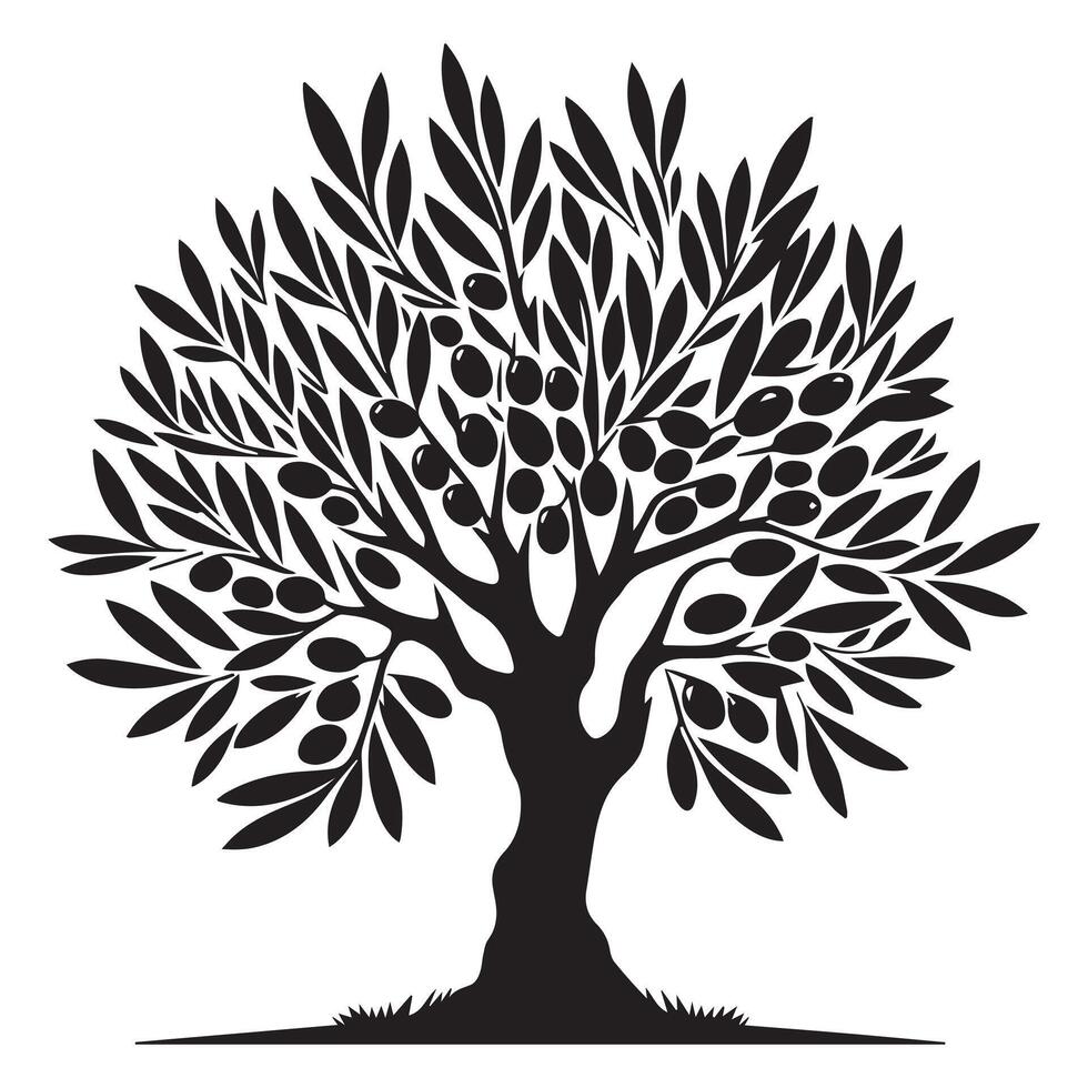 olive tree plant illustration in black and white vector
