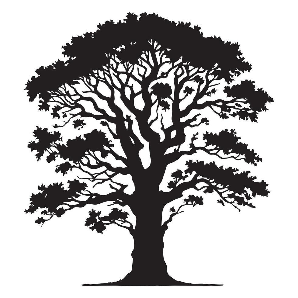 A detailed ash tree silhouette vector
