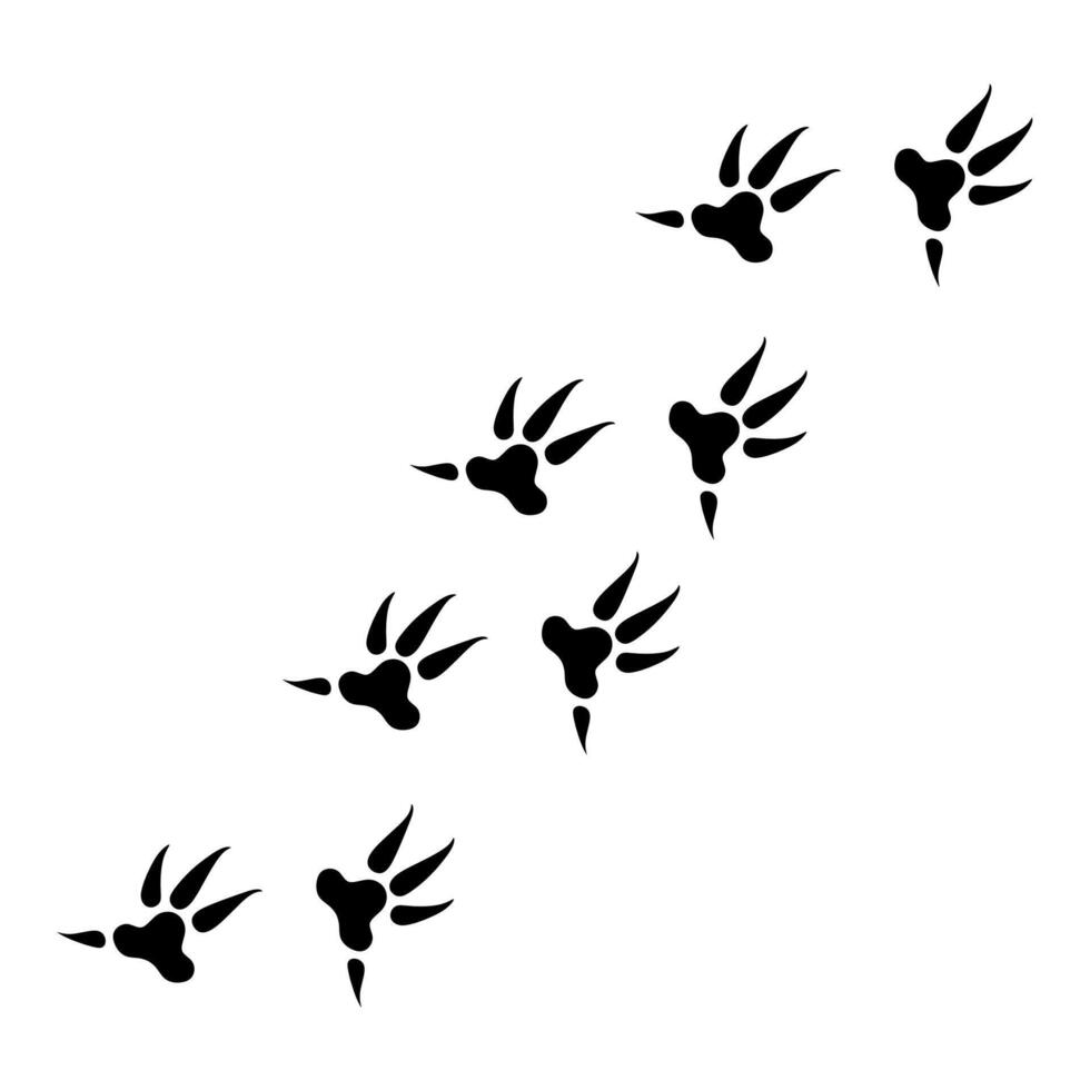 silhouette of chicken footprints on white background. Chicken feet pattern for wallpaper, poster, logo. vector