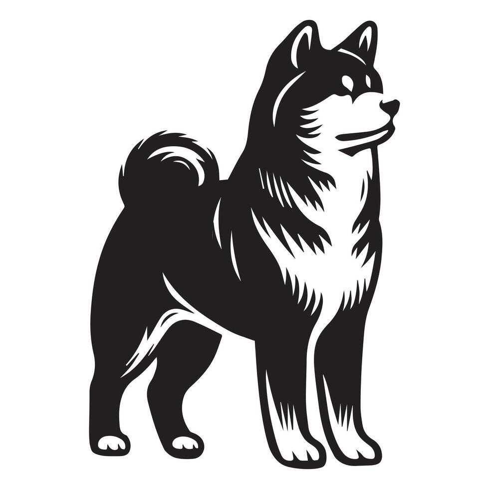 A Dignified Akita Dog Face illustration in black and white vector