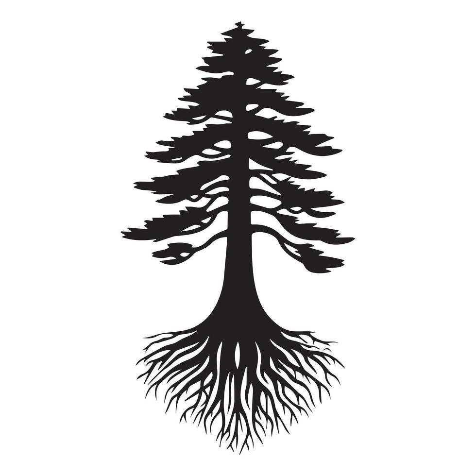 A redwood tree with roots illustration in black and white vector