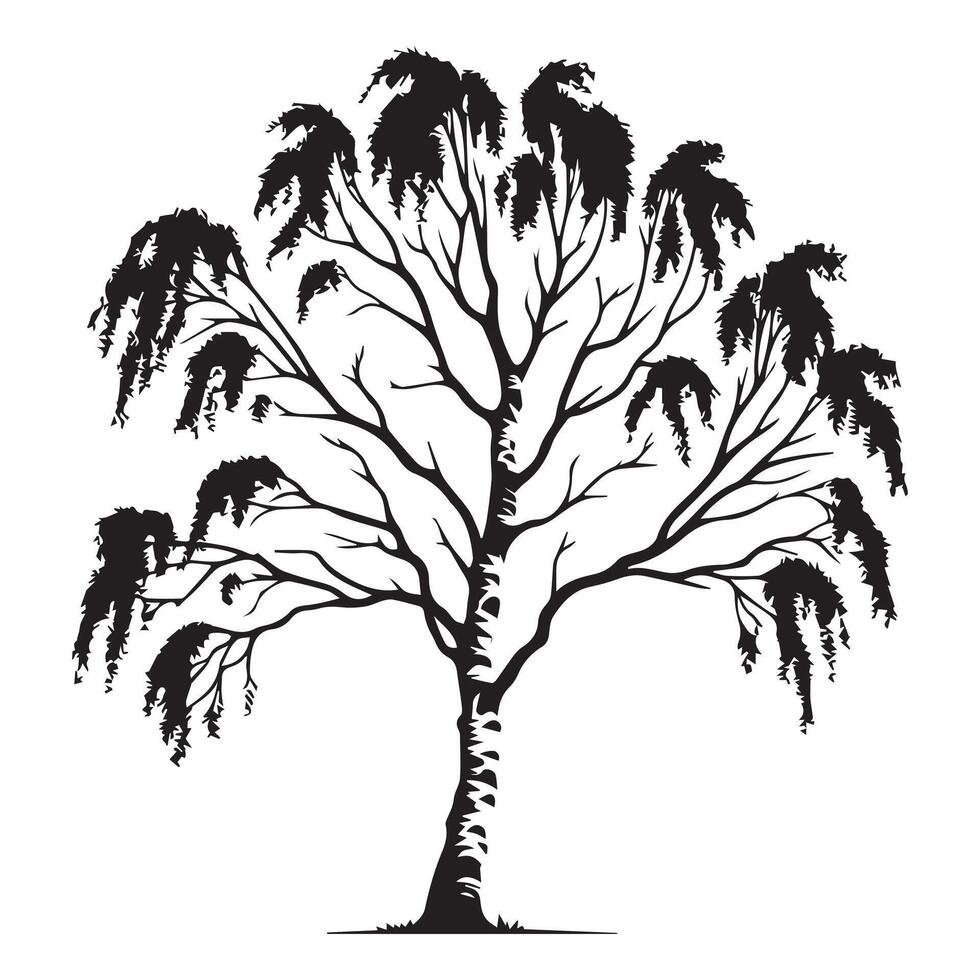 A birch tree in autumn illustration in black and white vector