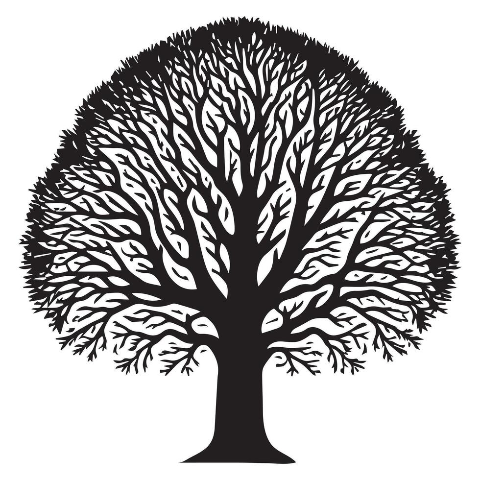 A wide ash tree illustration in black and white vector