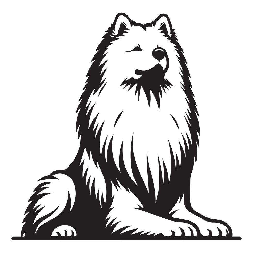 A Proud Samoyed Dog Face illustration in black and white vector