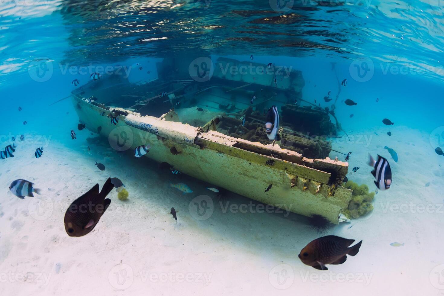 Tropical ocean with wreck of boat on sandy bottom and school of fish, underwater in Mauritius photo
