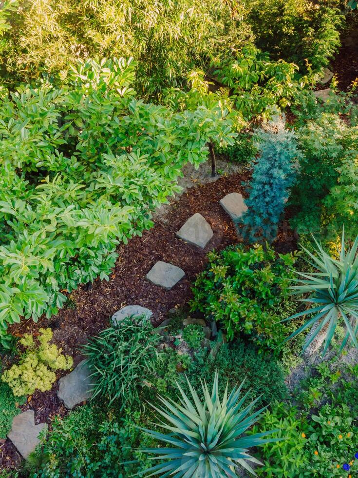 Landscape design with flower beds and path, natural landscaping panorama in home garden. Beautiful view of landscaped garden in residential backyard. Aerial view photo