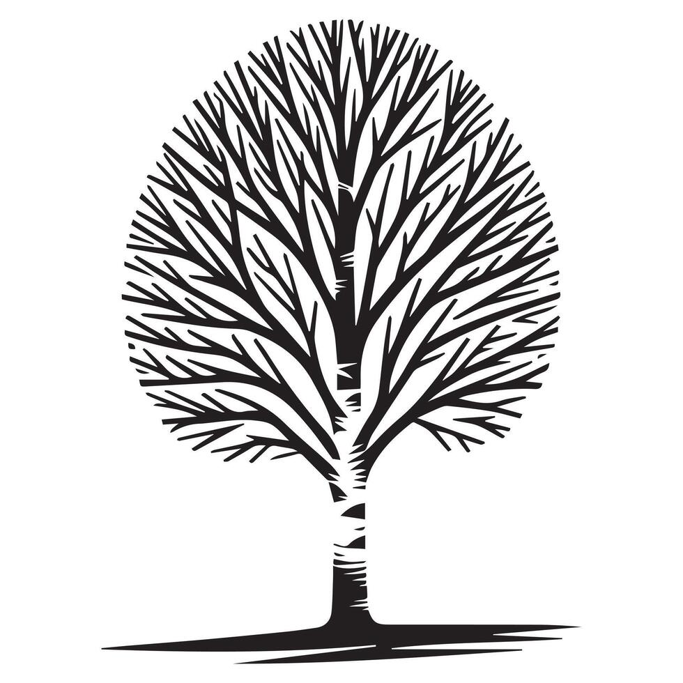 A birch tree in winter illustration in black and white vector