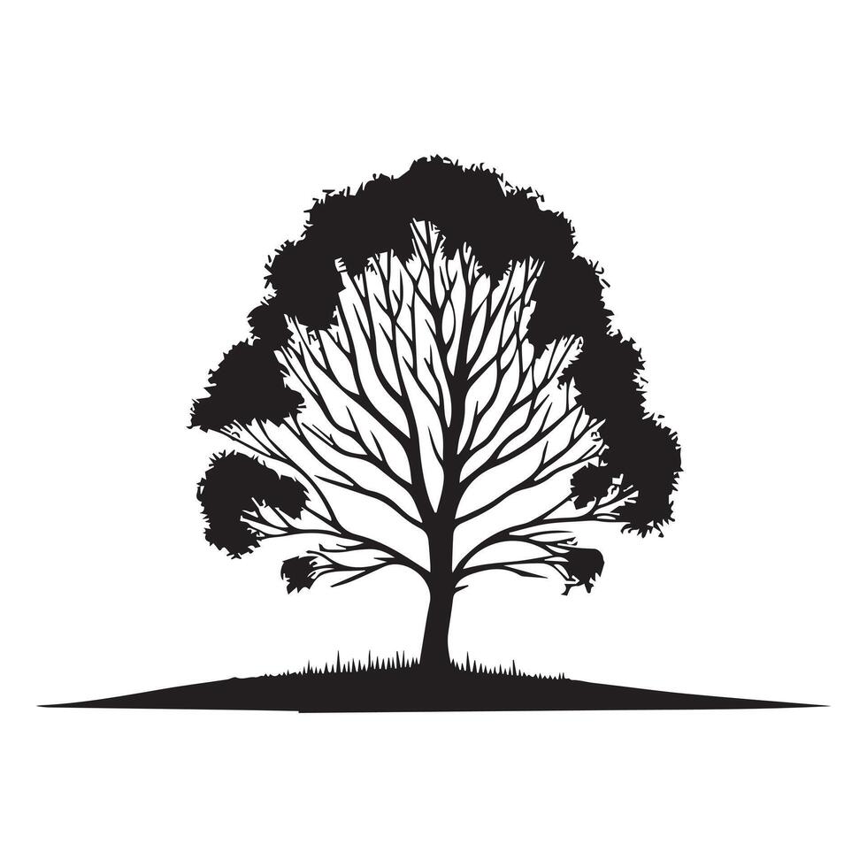 a beautiful birch tree illustration in black and white vector