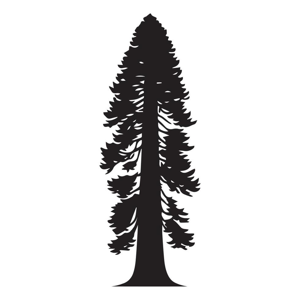 A redwood tree with branches illustration in black and white vector