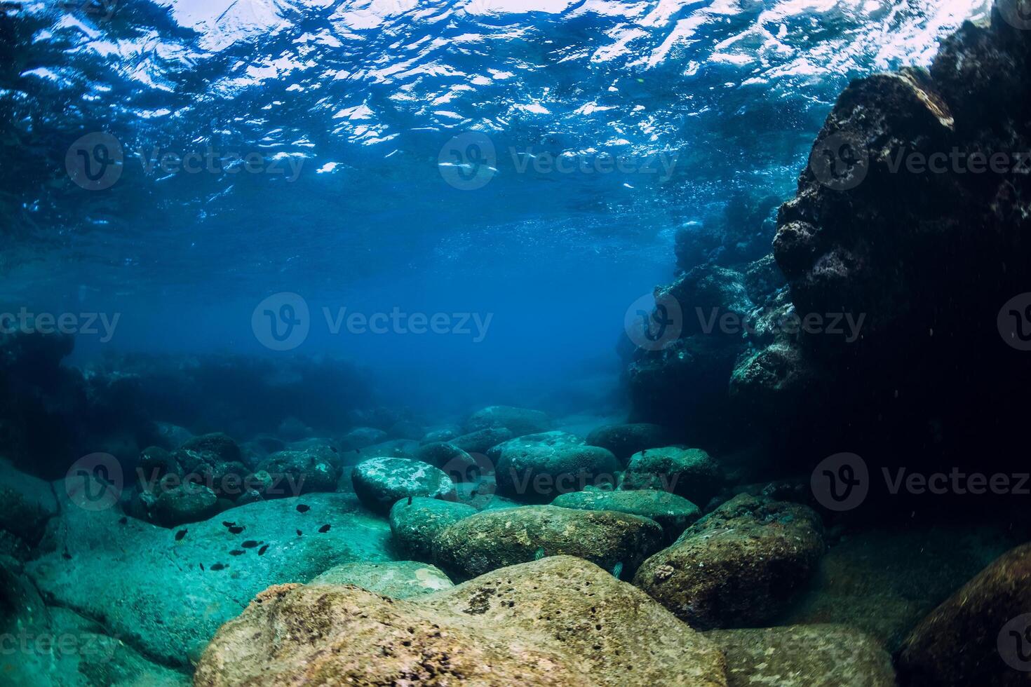 Tranquil underwater scene with copy space. Tropical transparent ocean with rock and stone photo